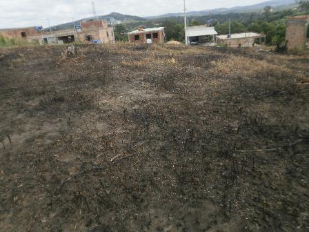 Lote, Estaleiro, 0 Quarto, 0 Vaga