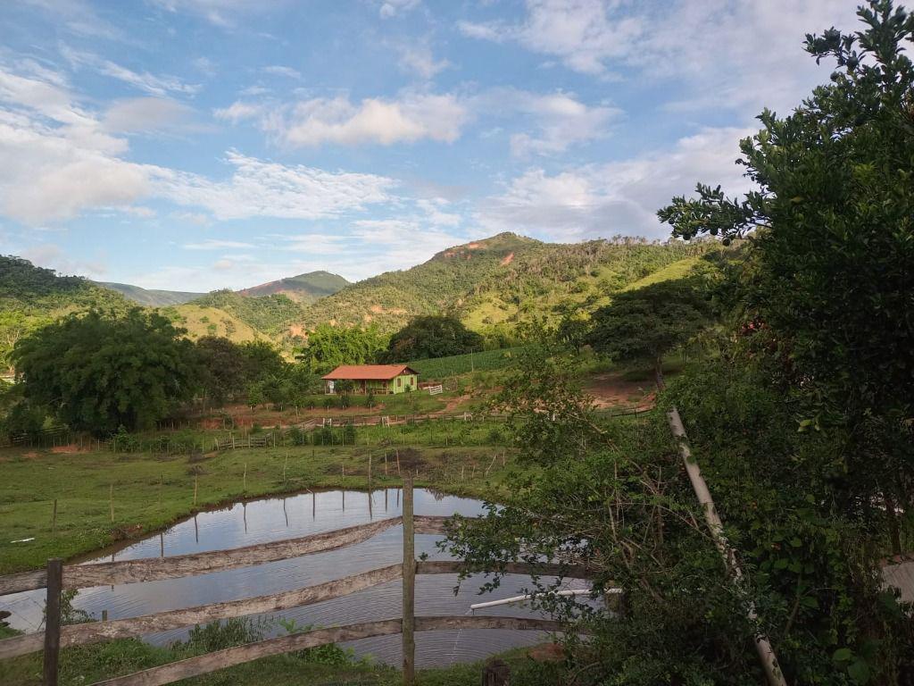 Fazenda, Centro, 3 Quartos, 0 Vaga, 1 Suíte