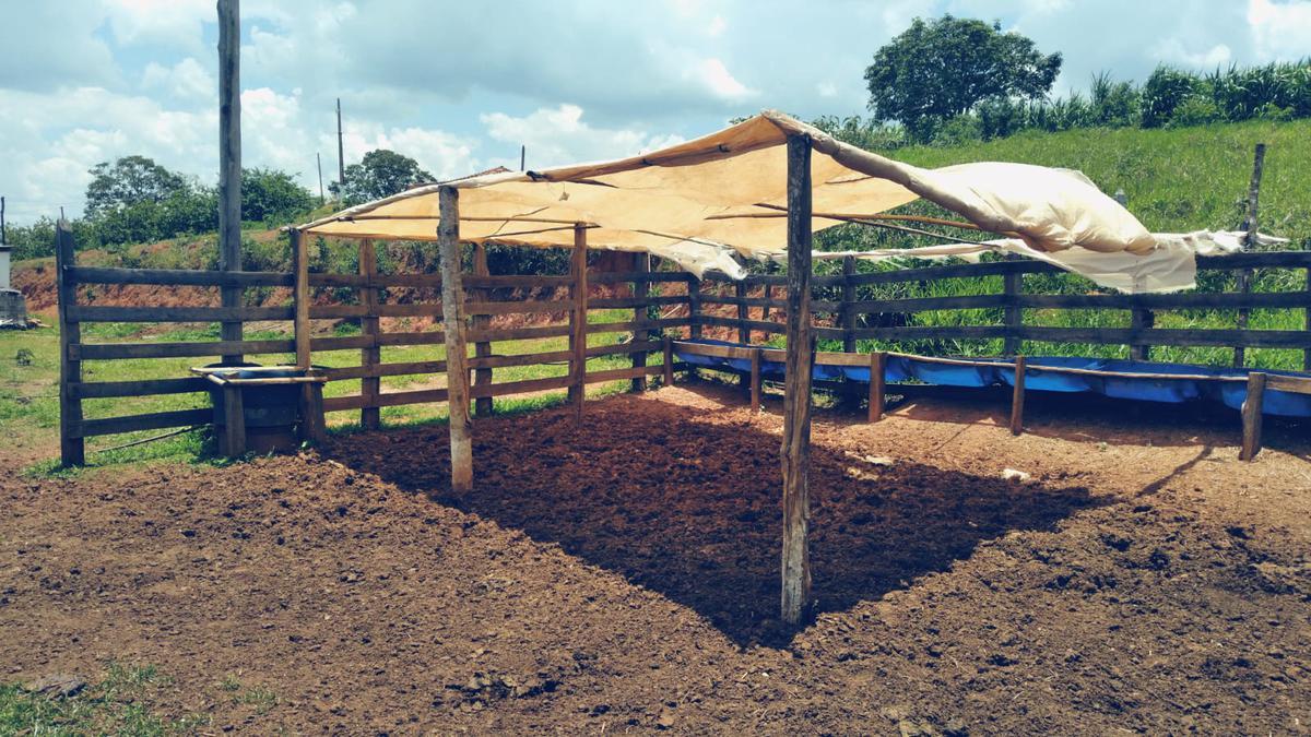 Fazenda, Zona Rural, 3 Quartos, 0 Vaga