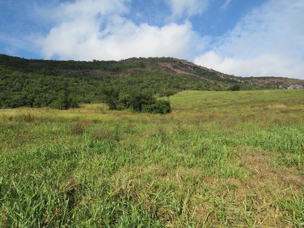 Fazenda, Zona Rural, 3 Quartos, 1 Vaga, 1 Suíte