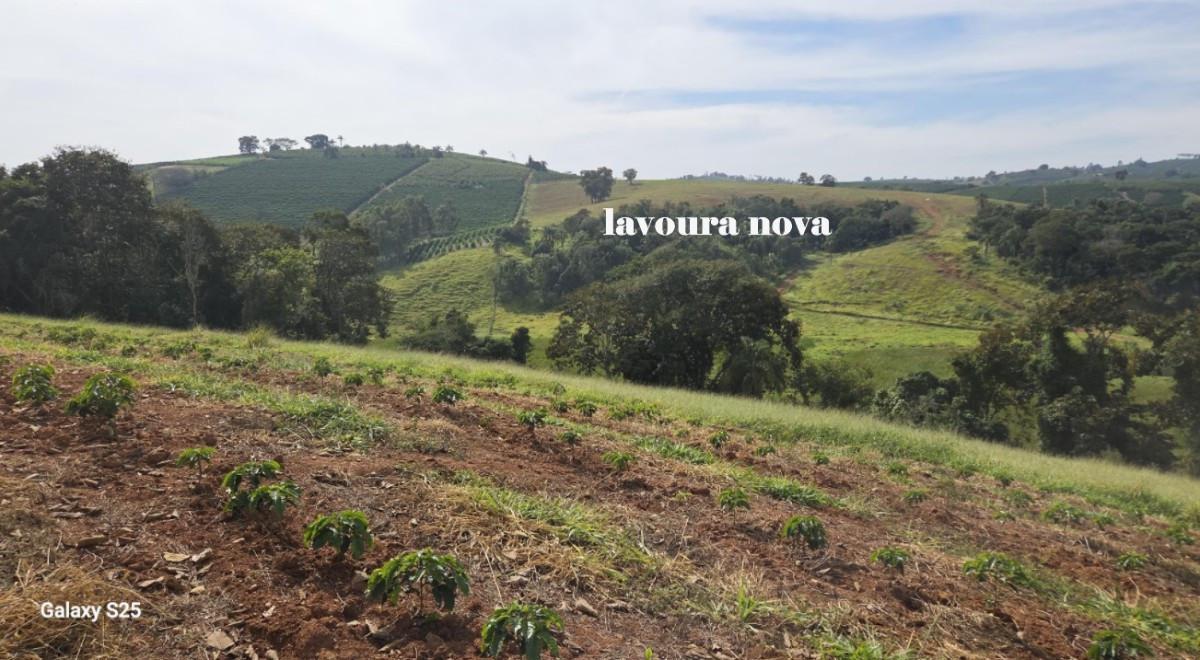 Fazenda, Zona Rural, 0 Quarto, 0 Vaga