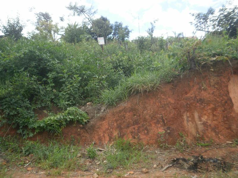 Lote, Icaivera, 0 Quarto, 0 Vaga