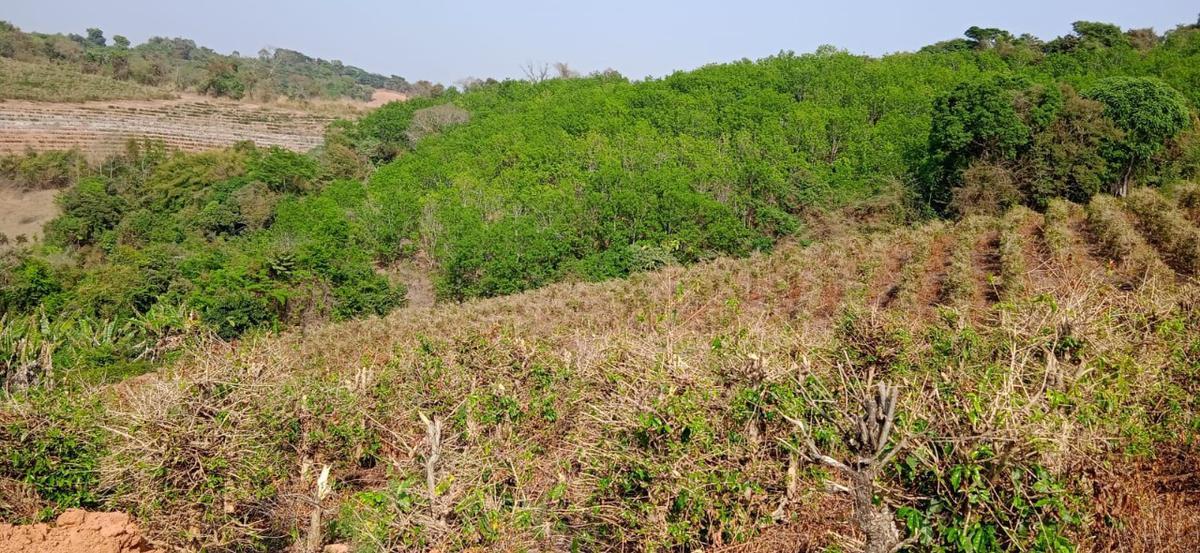 Fazenda, Zona Rural, 0 Quarto, 0 Vaga