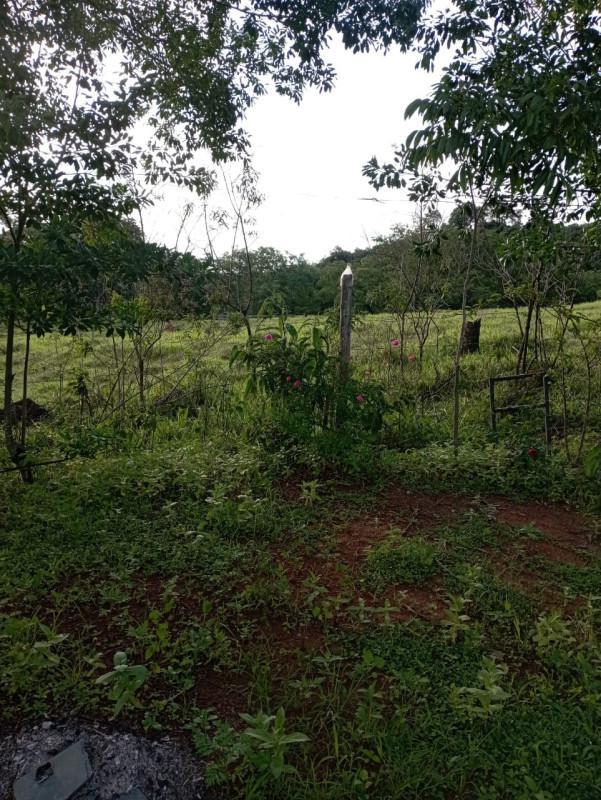 Fazenda, Zona Rural, 3 Quartos, 1 Vaga
