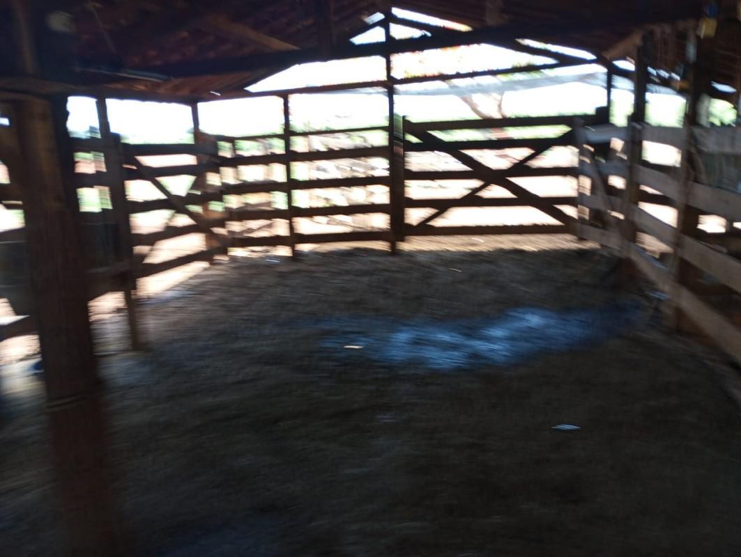 Fazenda, Centro, 0 Quarto, 0 Vaga