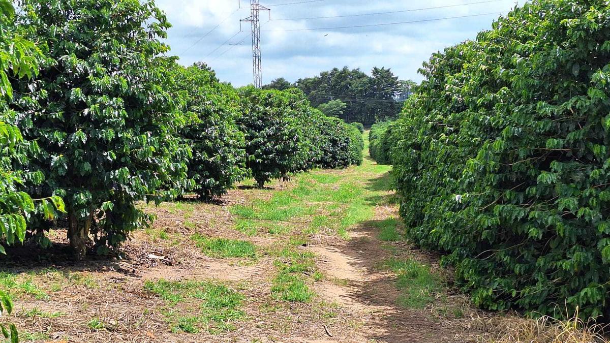 Fazenda, Zona Rural, 3 Quartos, 0 Vaga
