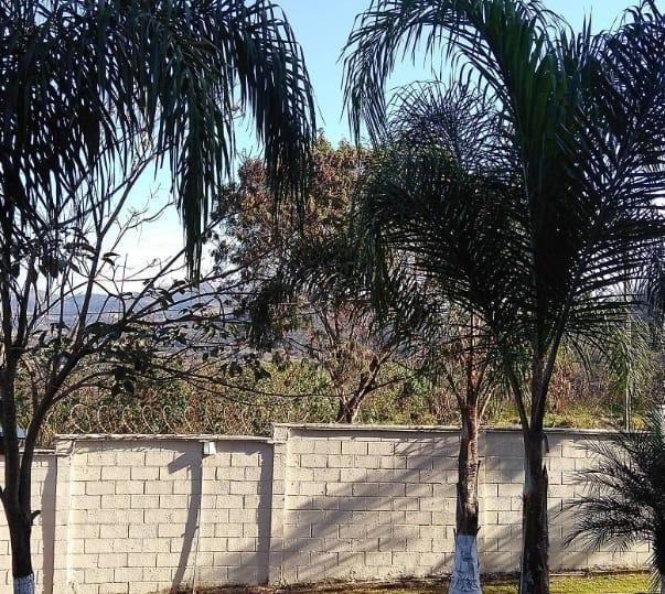 Apartamento, Residencial Taquaril, 2 Quartos, 1 Vaga