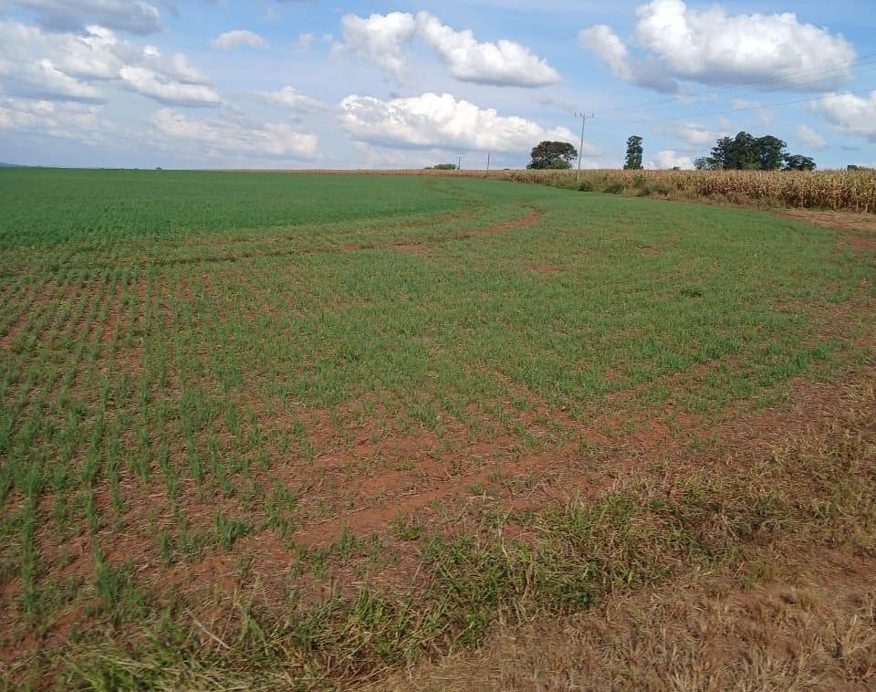 Fazenda, Zona Rural, 3 Quartos, 0 Vaga