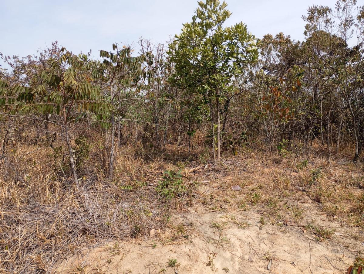 Lote, Zona Rural, 0 Quarto, 0 Vaga