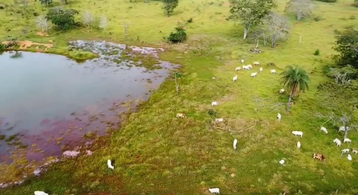 Fazenda, Zona Rural, 0 Quarto, 0 Vaga
