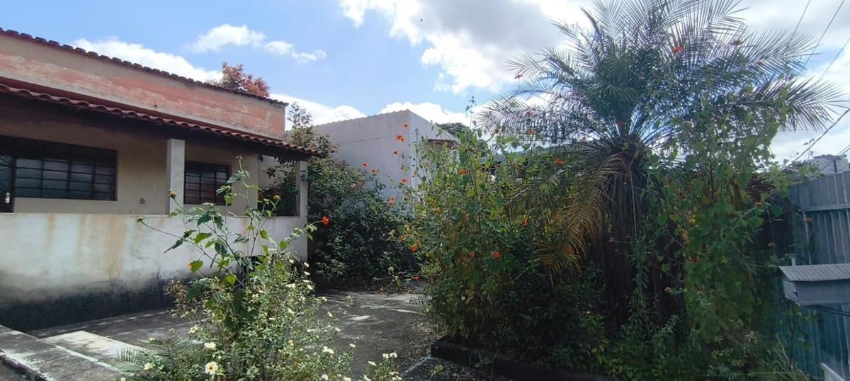 Lote, Santa Cruz, 0 Quarto, 0 Vaga