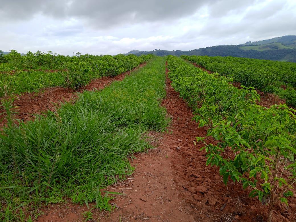 Fazenda, Zona Rural, 1 Quarto, 0 Vaga
