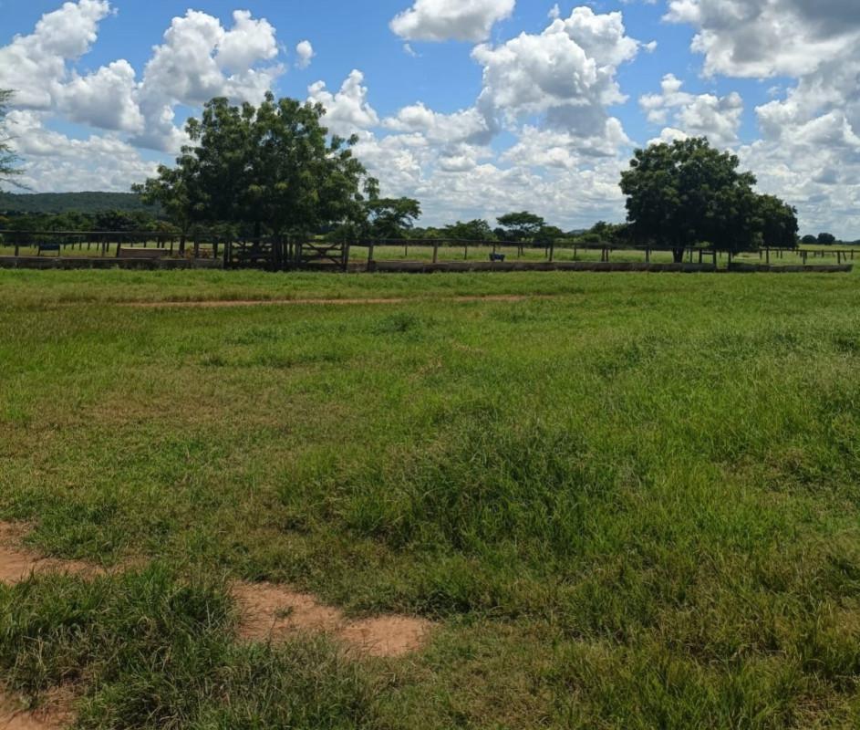 Fazenda, Zona Rural, 0 Quarto, 0 Vaga