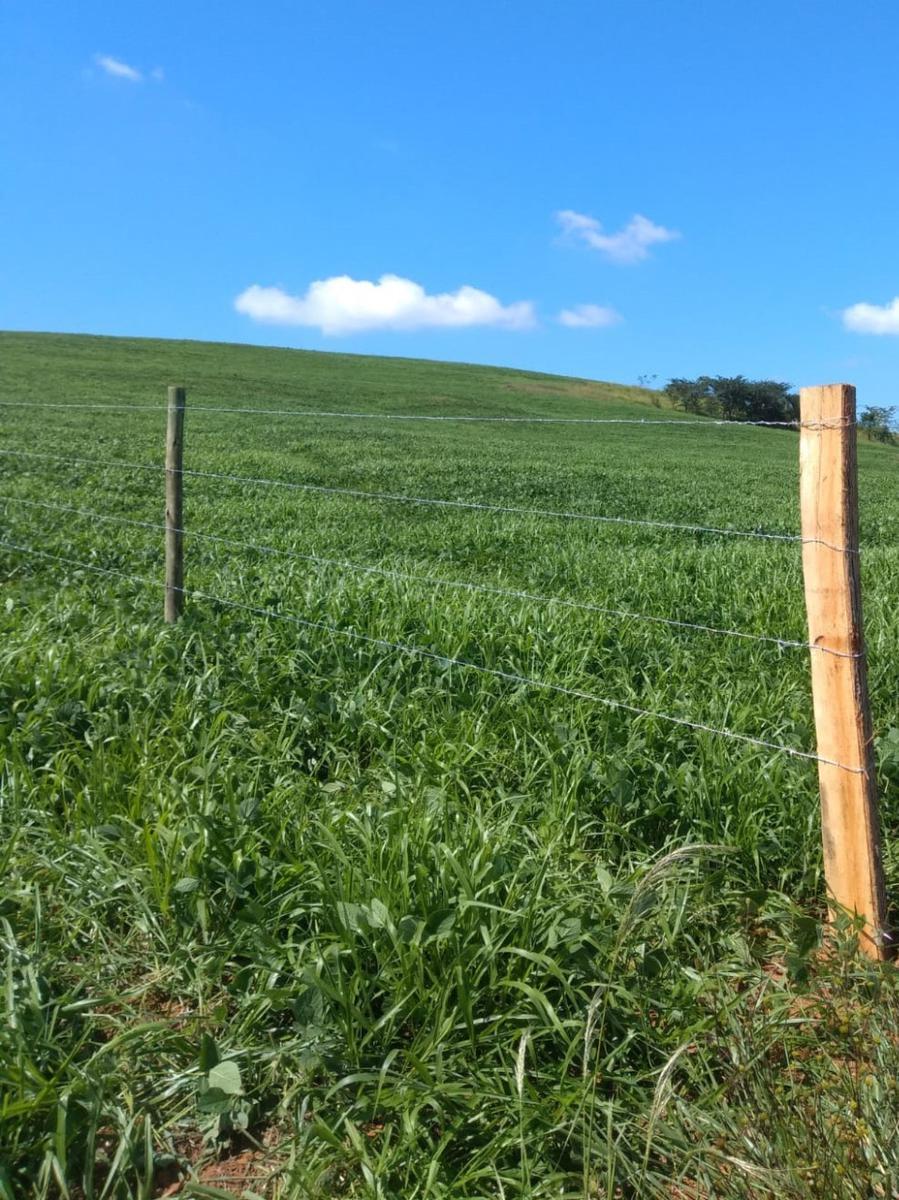Fazenda, Centro, 0 Quarto, 0 Vaga