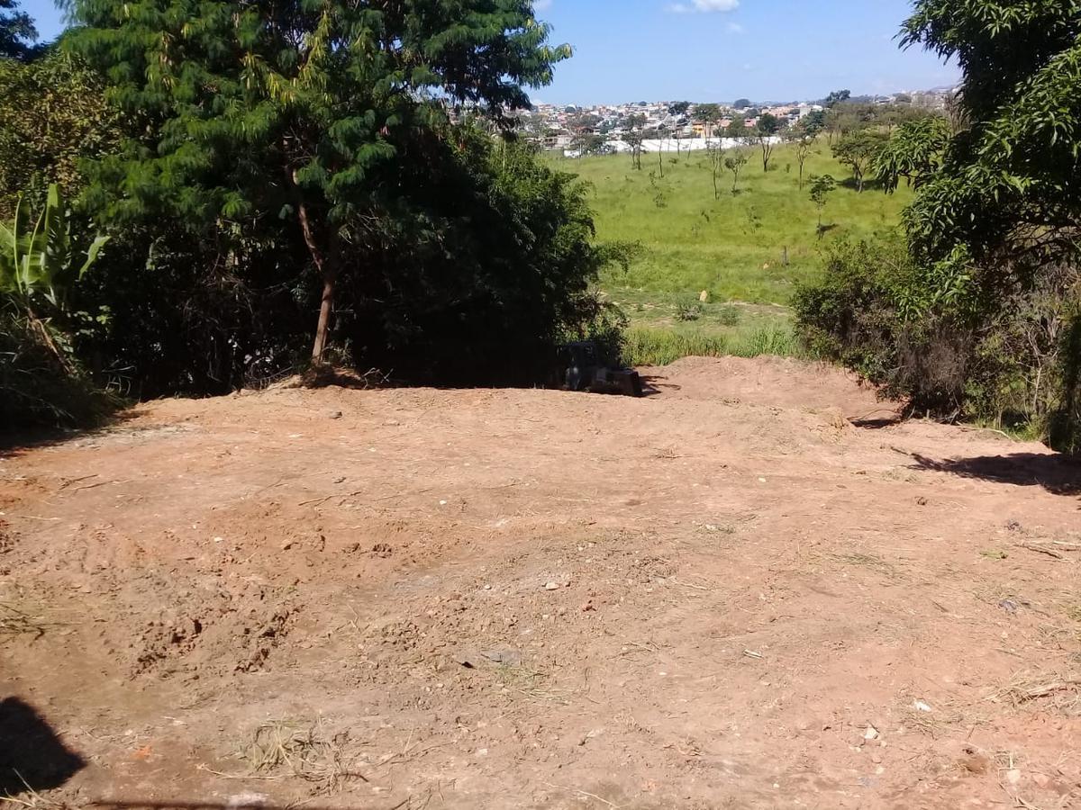 Lote, Feijão Miúdo