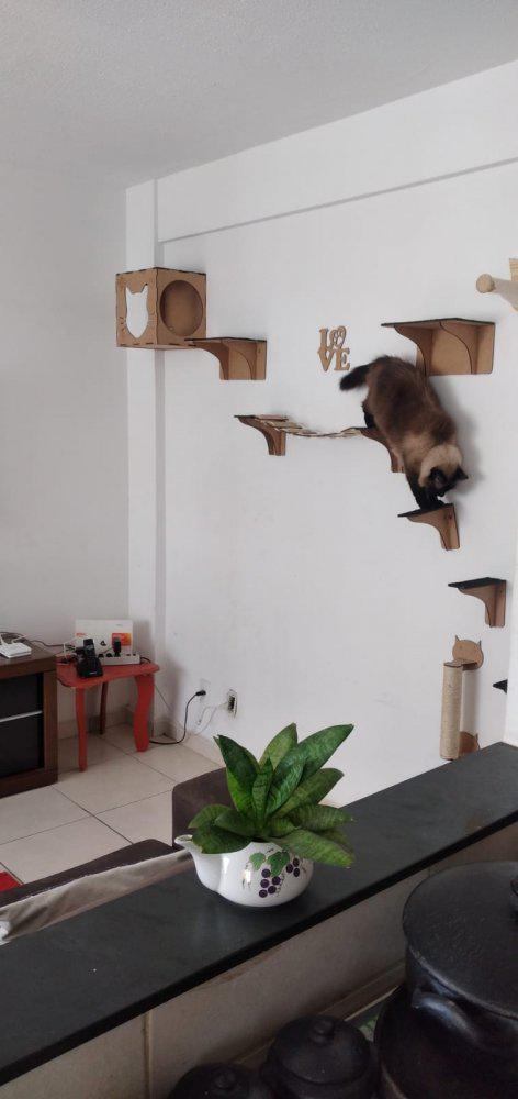 Apartamento, Conjunto Habitacional Bueno Franco, 2 Quartos, 1 Vaga