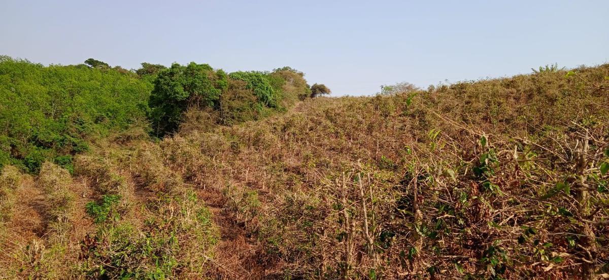 Fazenda, Zona Rural, 0 Quarto, 0 Vaga
