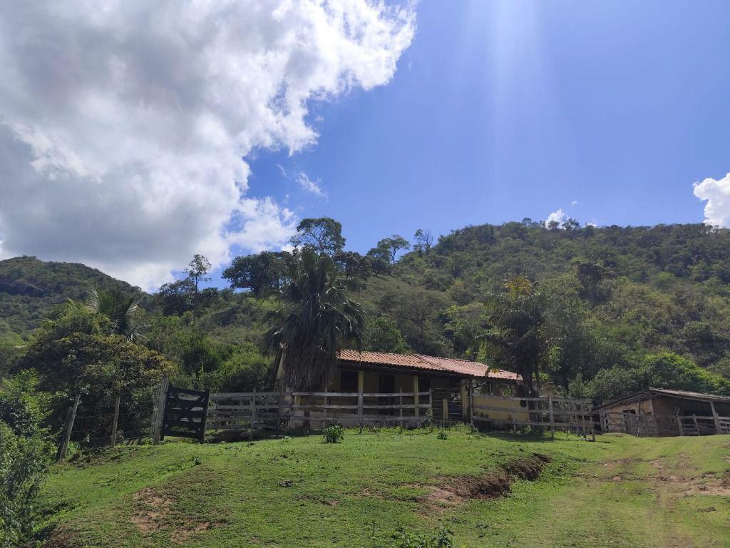 Fazenda, Centro, 3 Quartos, 0 Vaga, 1 Suíte