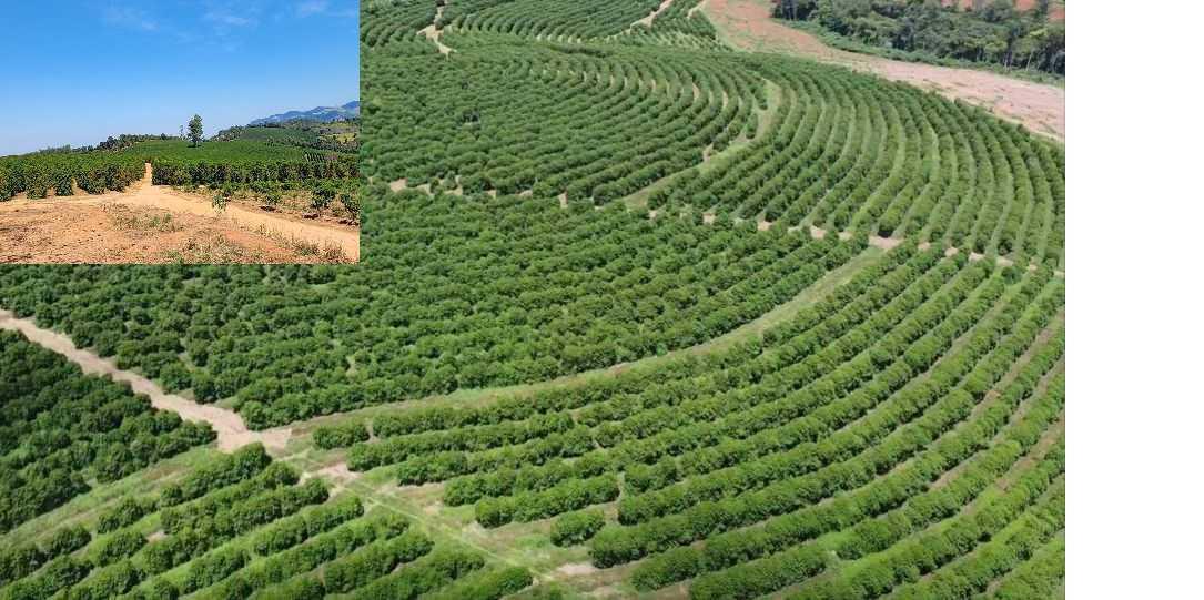 Fazenda, Zona Rural, 1 Quarto, 0 Vaga