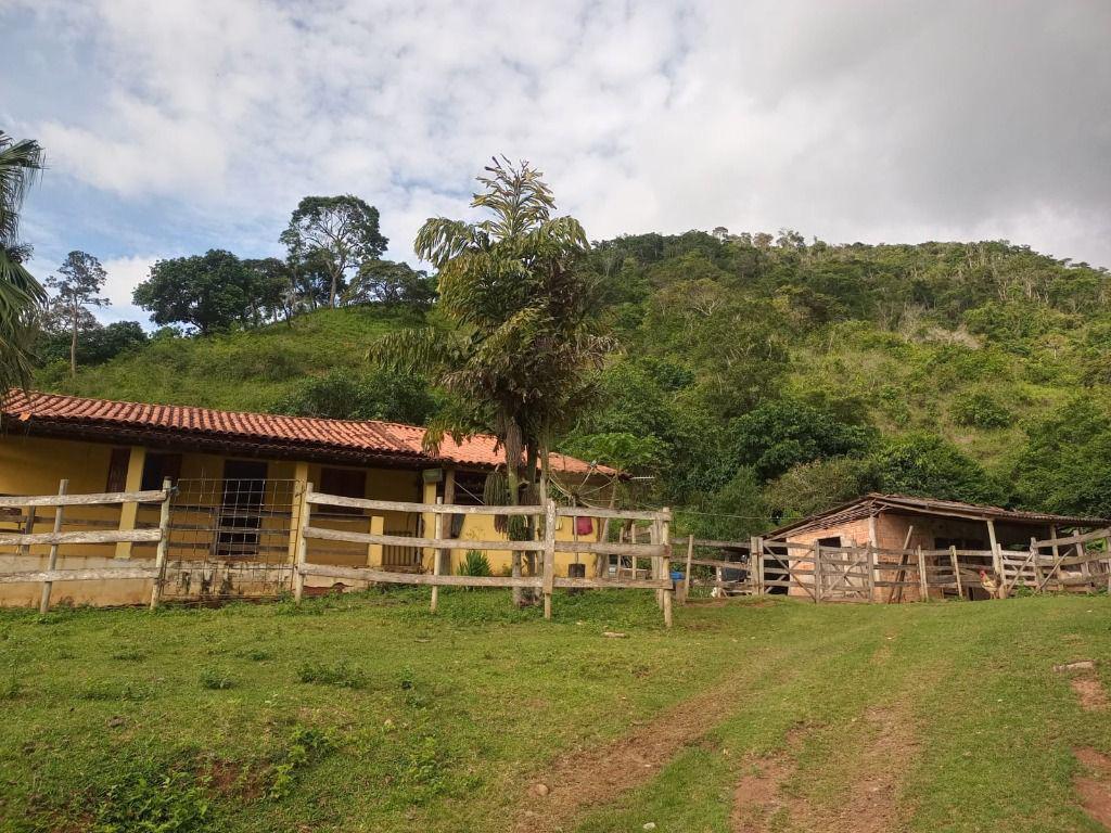Fazenda, Centro, 3 Quartos, 0 Vaga, 1 Suíte