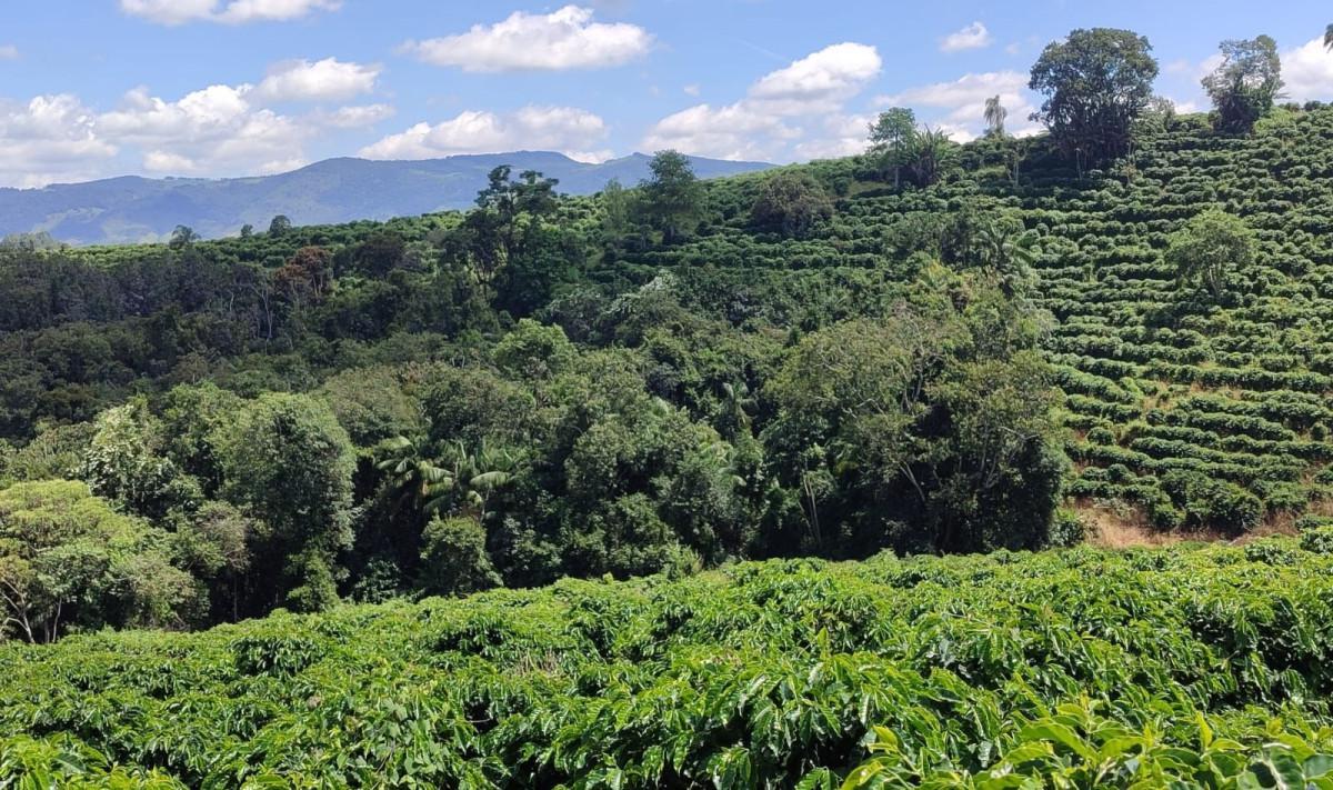 Fazenda, Zona Rural, 0 Quarto, 0 Vaga