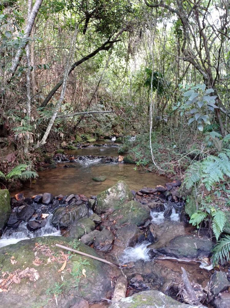 Lote, Santo Antônio do Salto, 0 Quarto, 0 Vaga