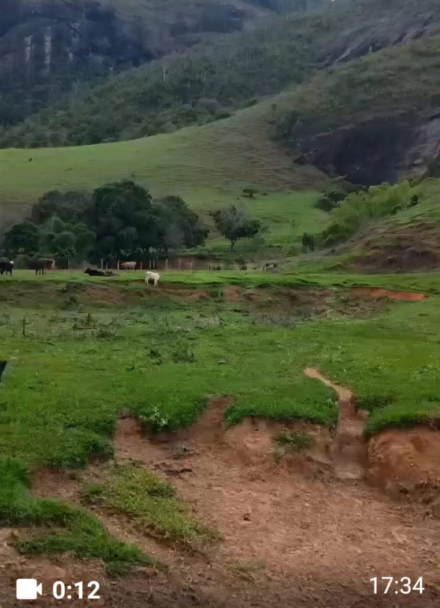 Fazenda, Centro, 7 Quartos, 0 Vaga