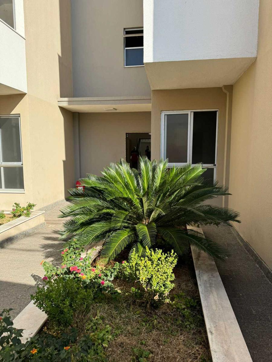 Apartamento, Cândida Ferreira, 2 Quartos, 1 Vaga