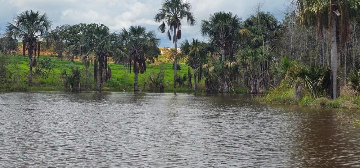 Fazenda, Centro, 0 Quarto, 0 Vaga