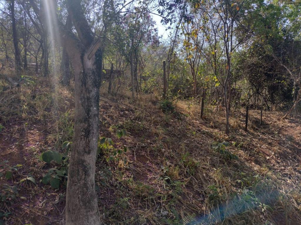 Lote, Água Férrea, 0 Quarto, 0 Vaga