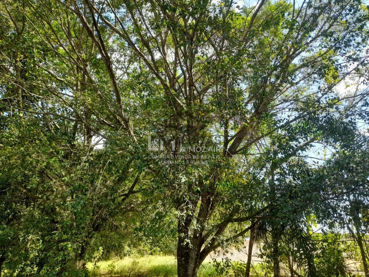 Fazenda, Zona Rural, 2 Quartos, 0 Vaga