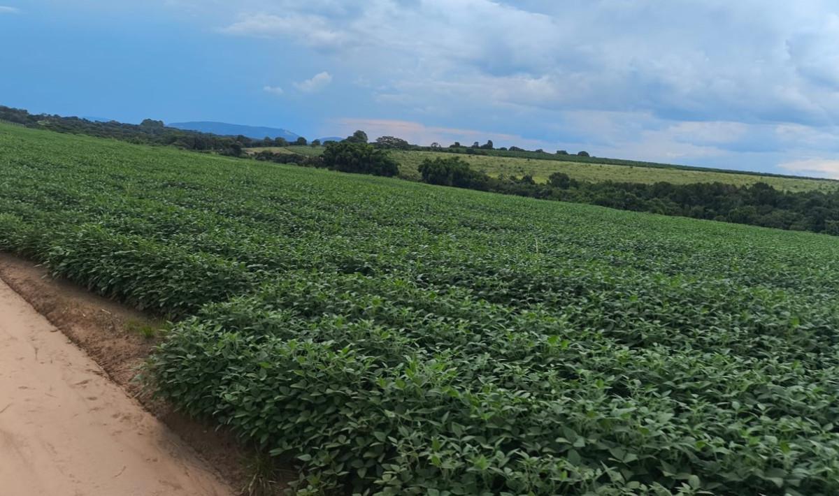Fazenda, Zona Rural, 0 Quarto, 0 Vaga