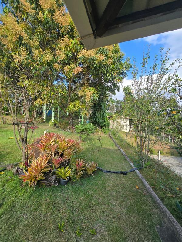 Fazenda, Gentileza, 4 Quartos, 10 Vagas, 1 Suíte