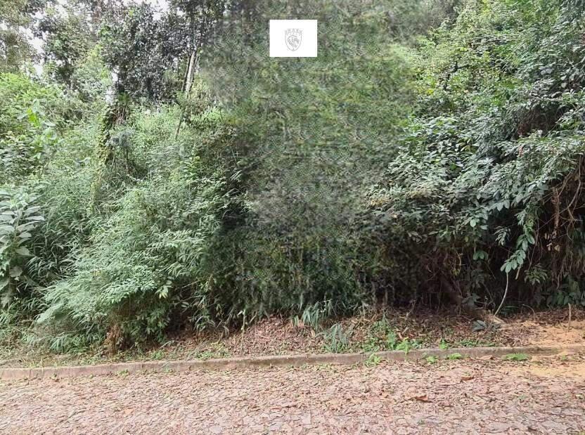 Lote, Condomínio Ville de Montagne, 0 Quarto, 0 Vaga