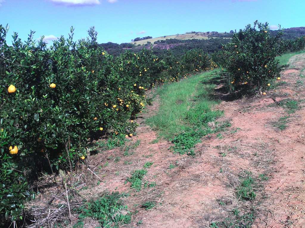 Fazenda, Zona Rural, 3 Quartos, 0 Vaga, 1 Suíte