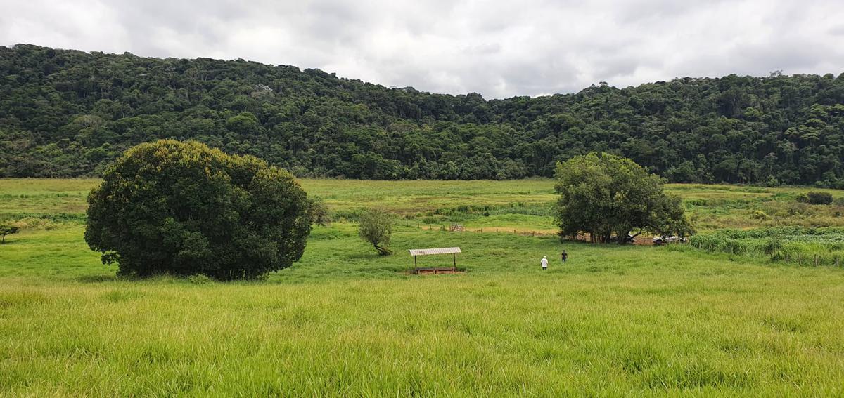 Fazenda, Centro, 4 Quartos, 2 Vagas, 1 Suíte