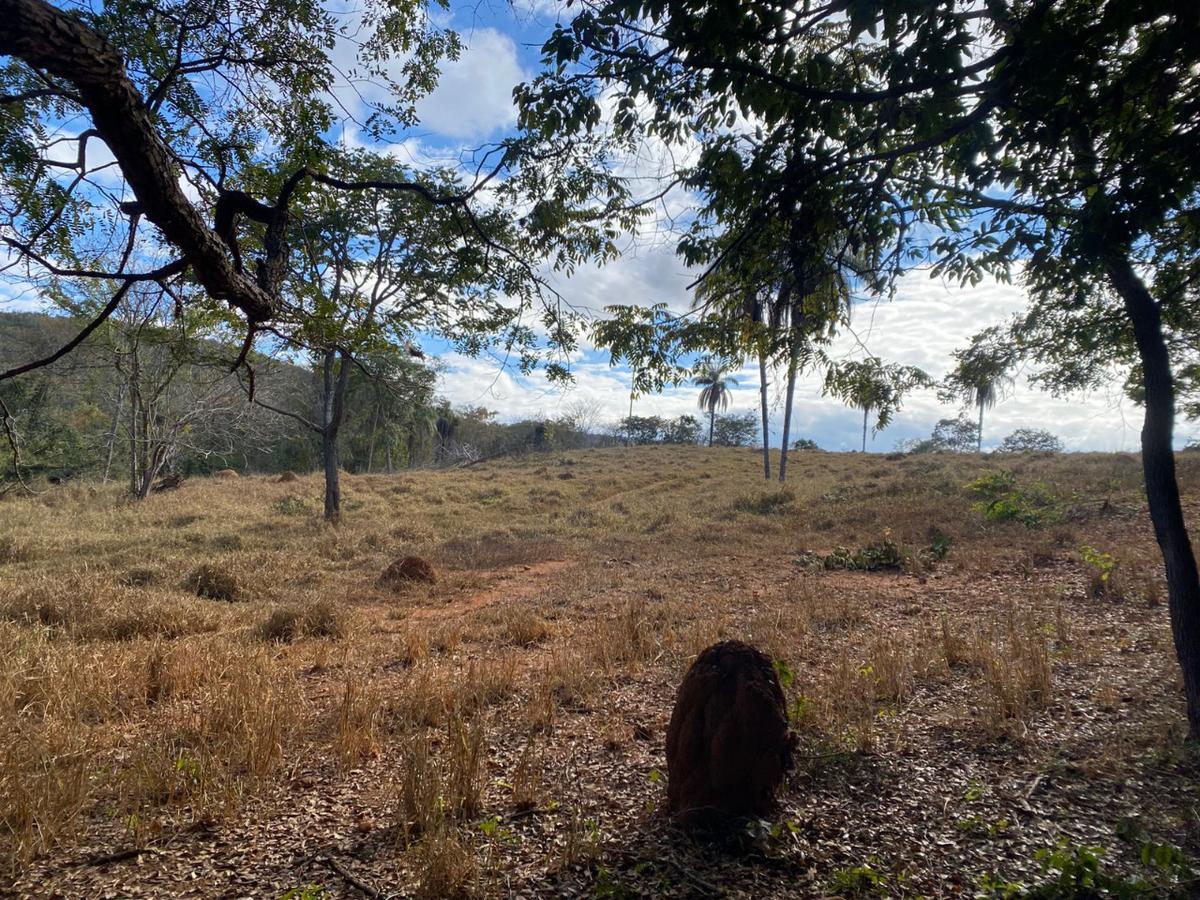 Lote, Centro, 0 Quarto, 0 Vaga