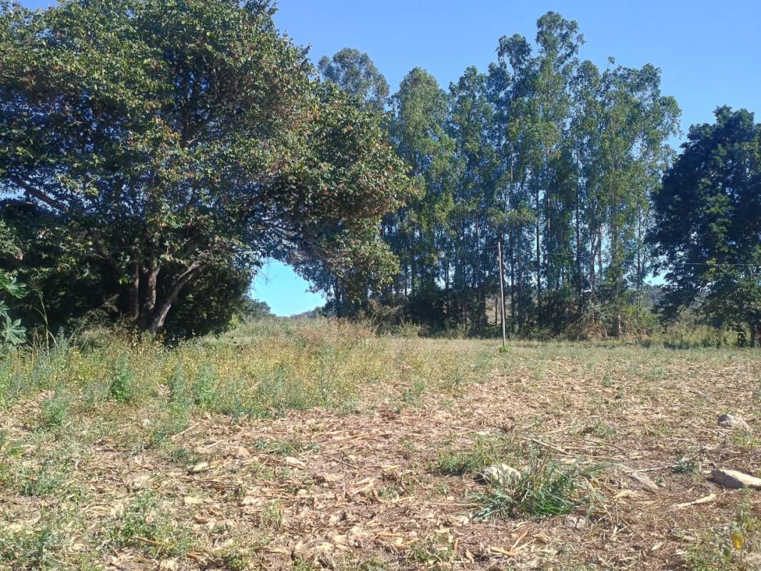 Fazenda, Centro, 3 Quartos, 0 Vaga