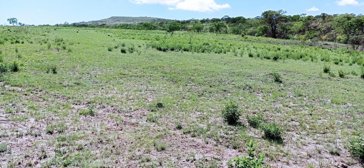 Fazenda, Zona Rural, 0 Quarto, 0 Vaga