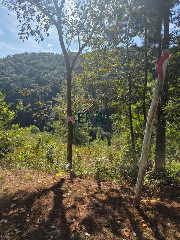 Lote, Village Sans Souci, 0 Quarto, 0 Vaga