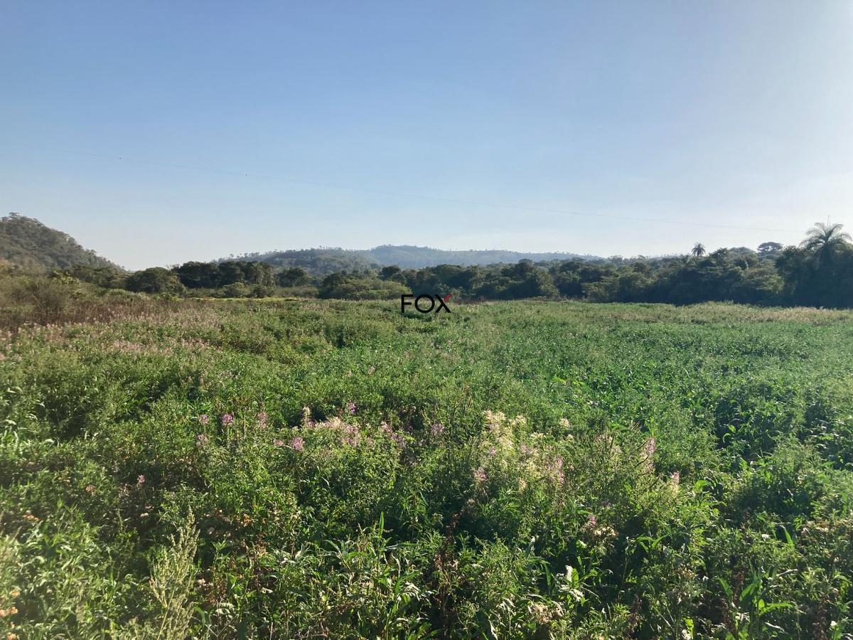 Lote, Centro, 0 Quarto, 0 Vaga