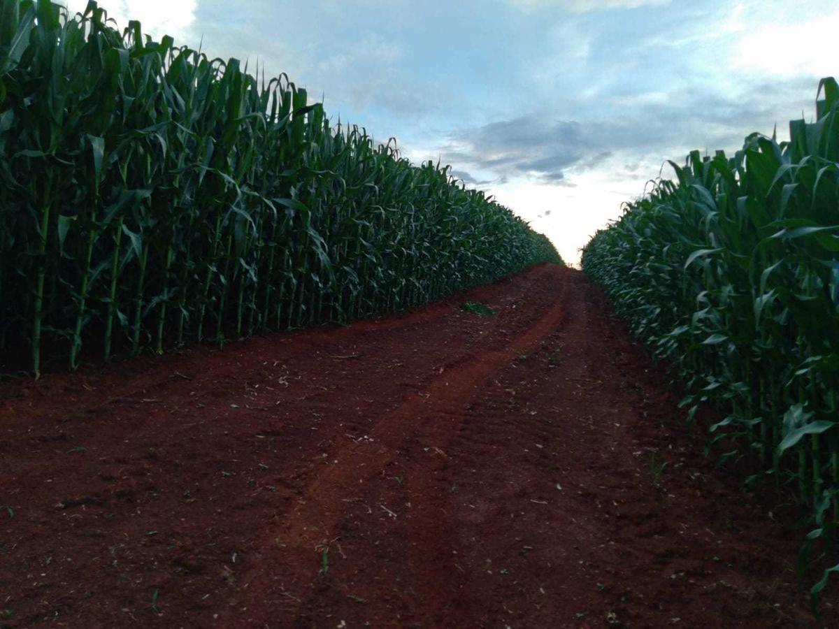 Fazenda, Zona Rural, 3 Quartos, 0 Vaga