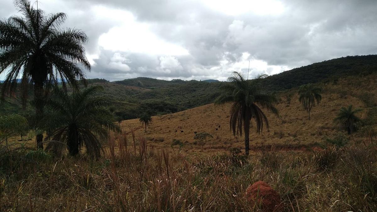 Lote, Zona Rural, 0 Quarto, 0 Vaga