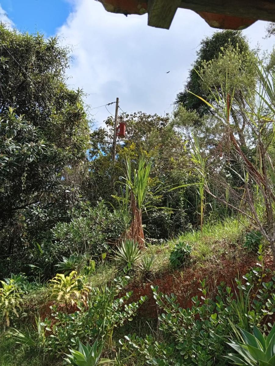 Fazenda, Centro, 3 Quartos, 10 Vagas, 1 Suíte