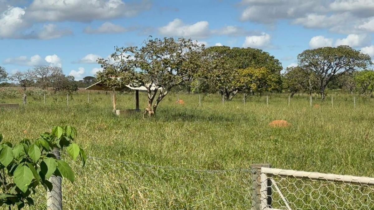 Fazenda, Centro, 0 Quarto, 0 Vaga