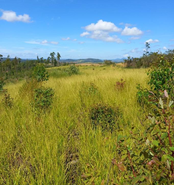 Fazenda, Centro, 3 Quartos, 0 Vaga