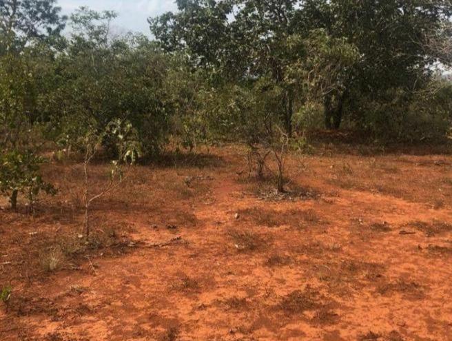 Fazenda, Zona Rural, 0 Quarto, 0 Vaga