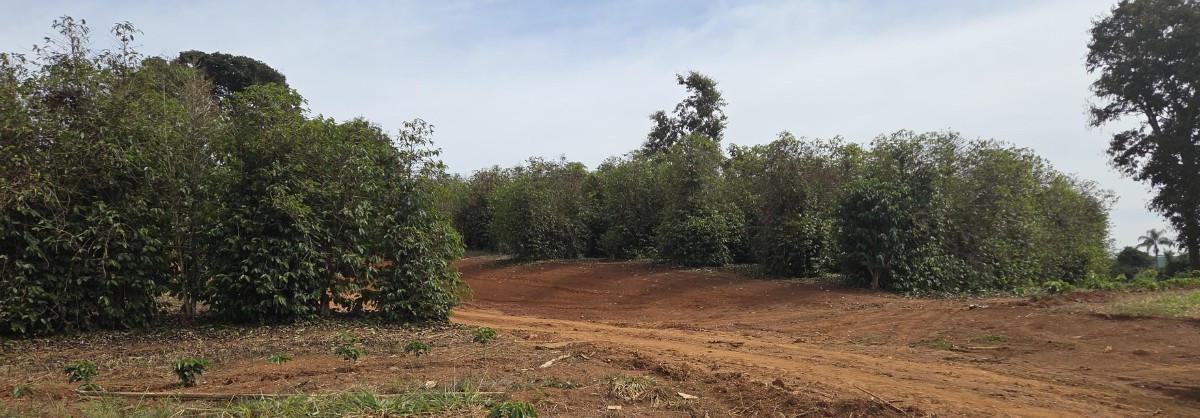 Fazenda, Zona Rural, 0 Quarto, 0 Vaga