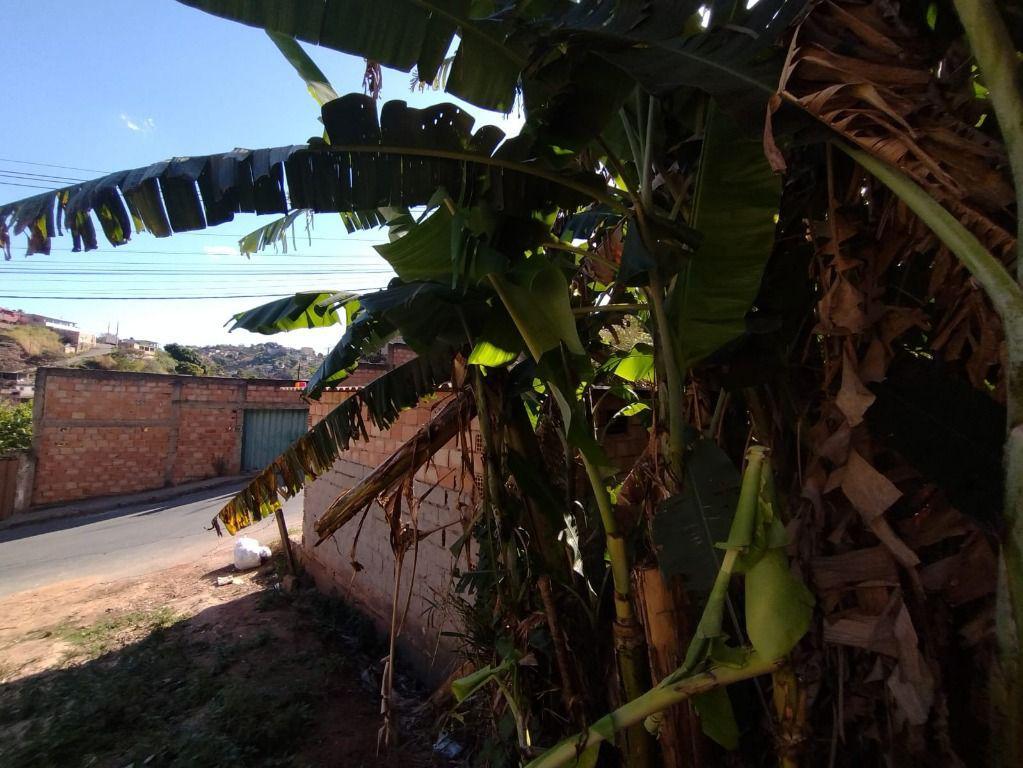 Casa, São José, 1 Quarto, 1 Vaga