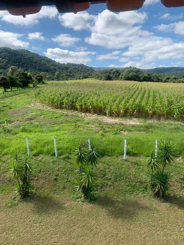 Fazenda, Centro, 3 Quartos, 10 Vagas, 1 Suíte